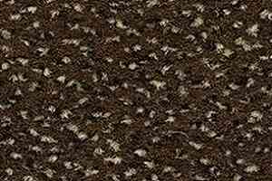 Ковролин Balsan Zenith Roll 755 фото  | FLOORDEALER